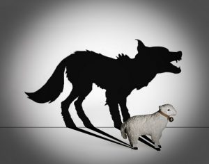 wolf_sheeps-clothing